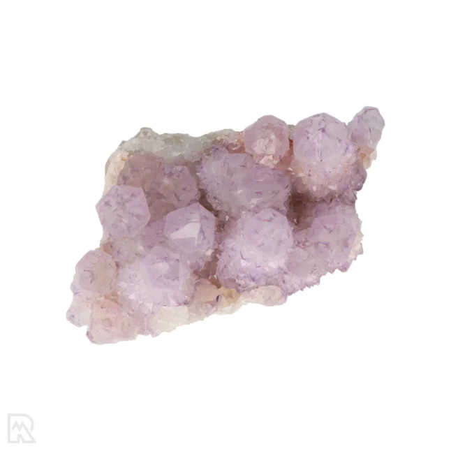 Cactus - Spirit Amethist Cluster uit Zuid-Afrika met artikelnummer 20045
