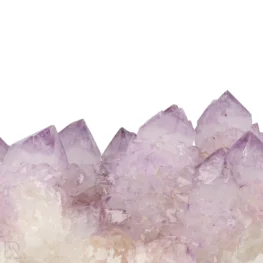 Cactus - Spirit Amethist Cluster uit Zuid-Afrika met artikelnummer 20045