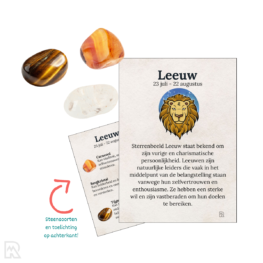 Lion - Constellation Sale Bag