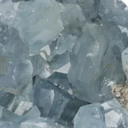 Celestien uit Madagaskar met artikelnummer 20870