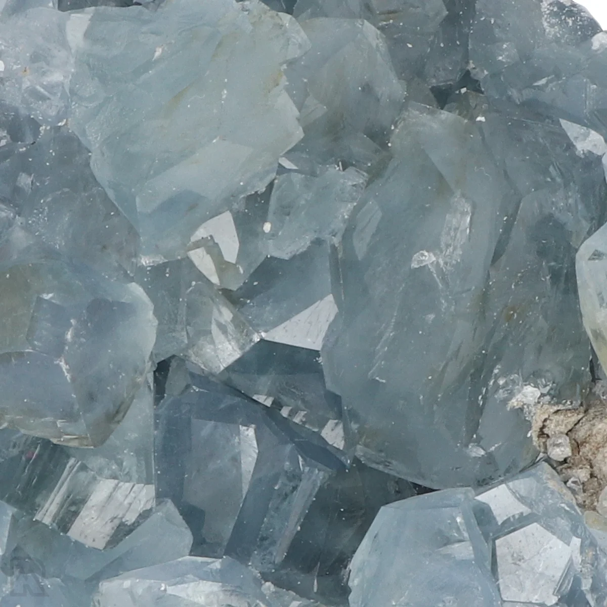 Celestien 2 Celestien uit Madagaskar met artikelnummer 20870