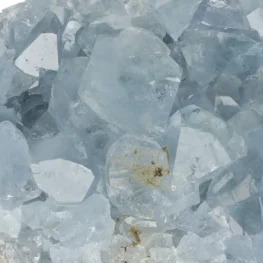 Celestien uit Madagaskar met artikelnummer 20873