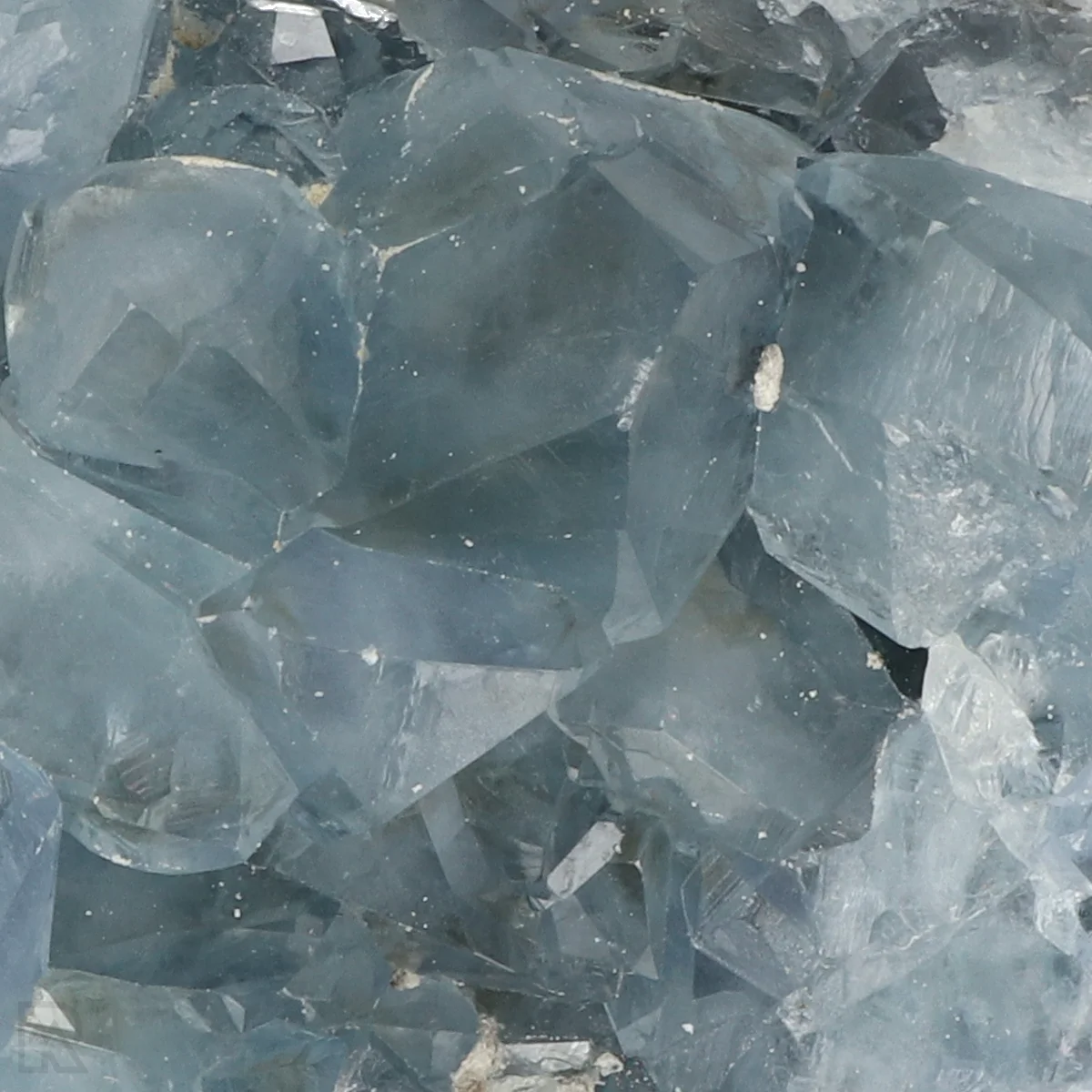 Celestien 2 Celestien uit Madagaskar met artikelnummer 20874