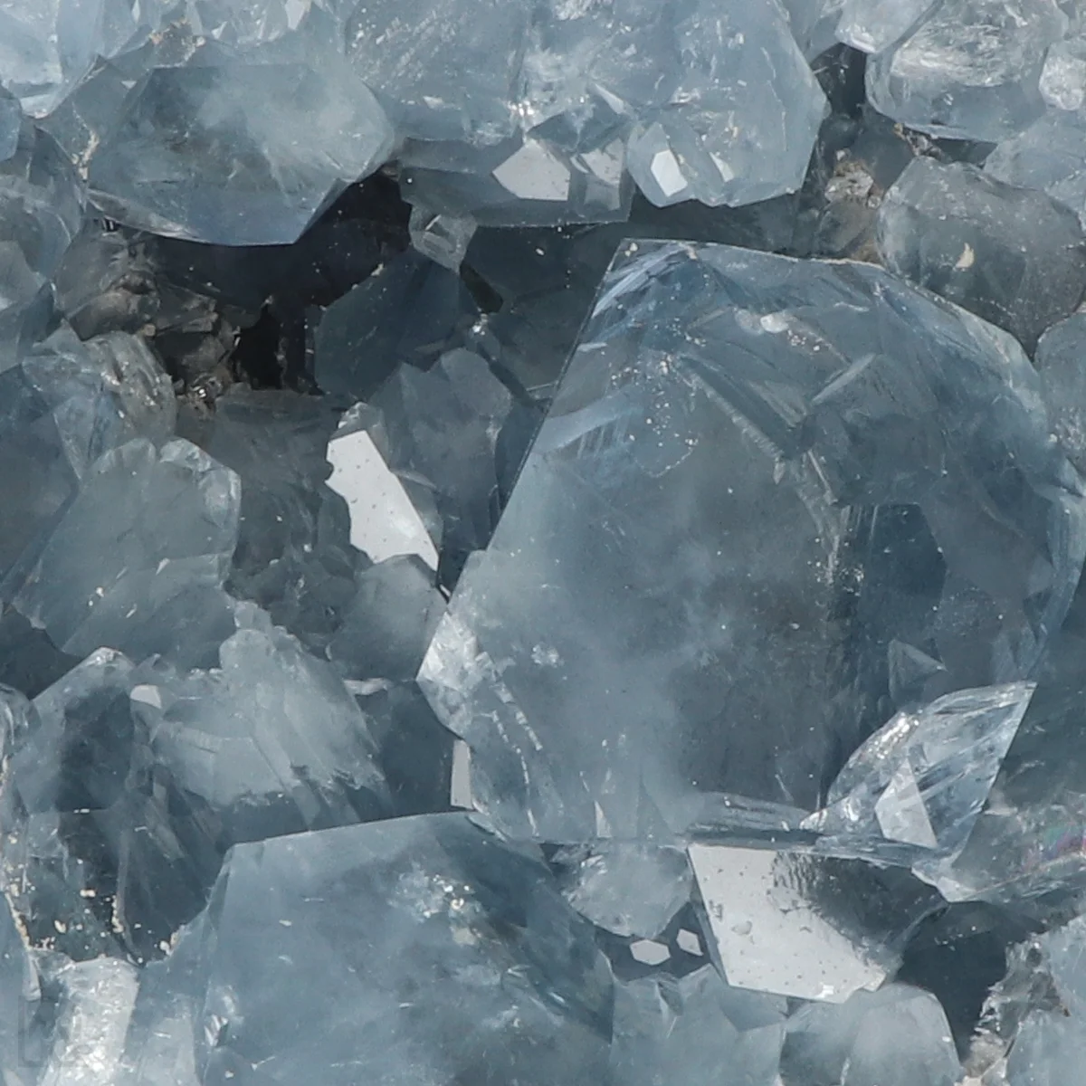 Celestien 2 Celestien uit Madagaskar met artikelnummer 20877