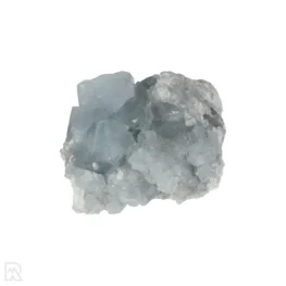 Celestien uit Madagaskar met artikelnummer 20879