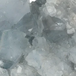 Celestien uit Madagaskar met artikelnummer 20879