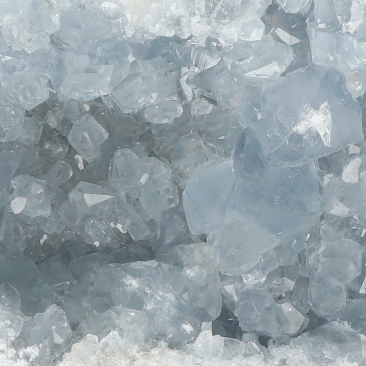 Celestien 2 Celestien uit Madagaskar met artikelnummer 20880