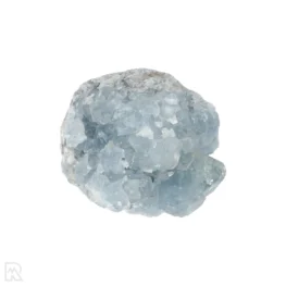 Celestien uit Madagaskar met artikelnummer 20881