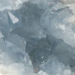 Celestien uit Madagaskar met artikelnummer 20889