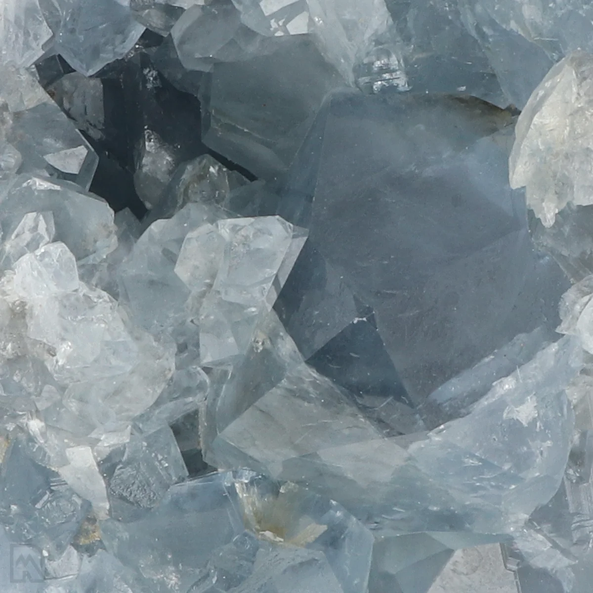 Celestien 2 Celestien uit Madagaskar met artikelnummer 20890