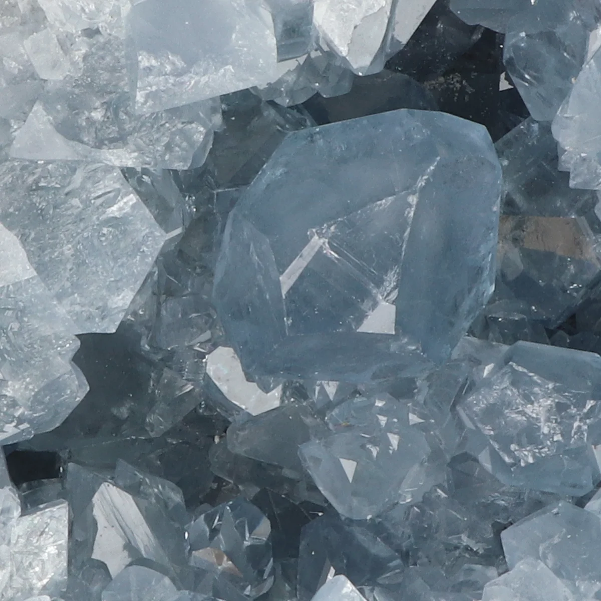 Celestien 2 Celestien uit Madagaskar met artikelnummer 20891