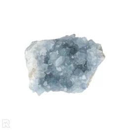 Celestien uit Madagaskar met artikelnummer 20893