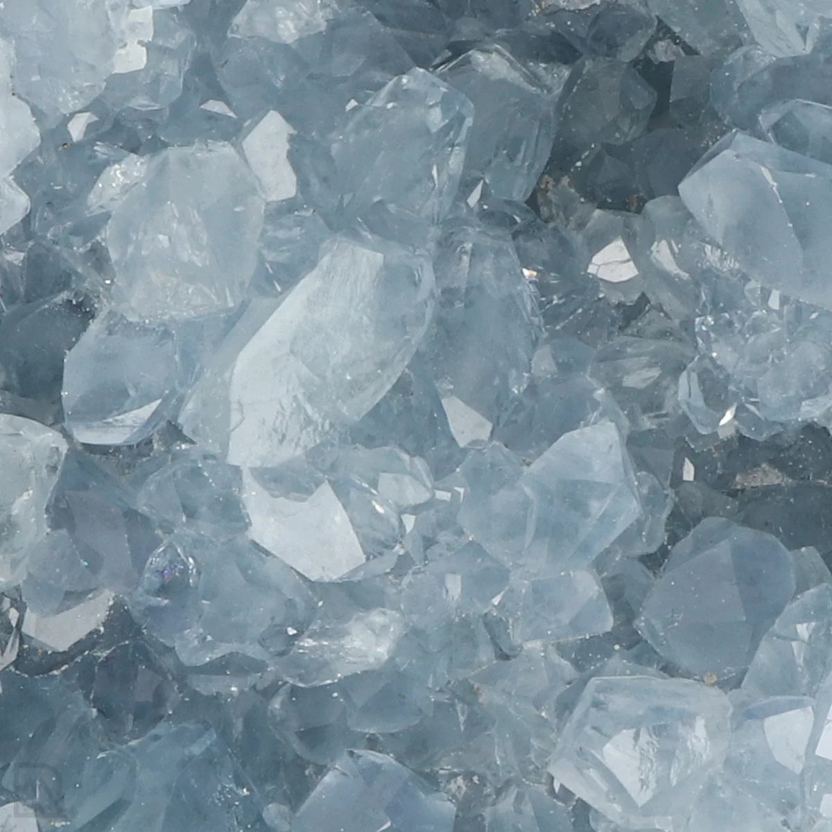 Celestien 2 Celestien uit Madagaskar met artikelnummer 20893