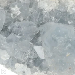 Celestien uit Madagaskar met artikelnummer 20901