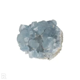 Celestien uit Madagaskar met artikelnummer 20903