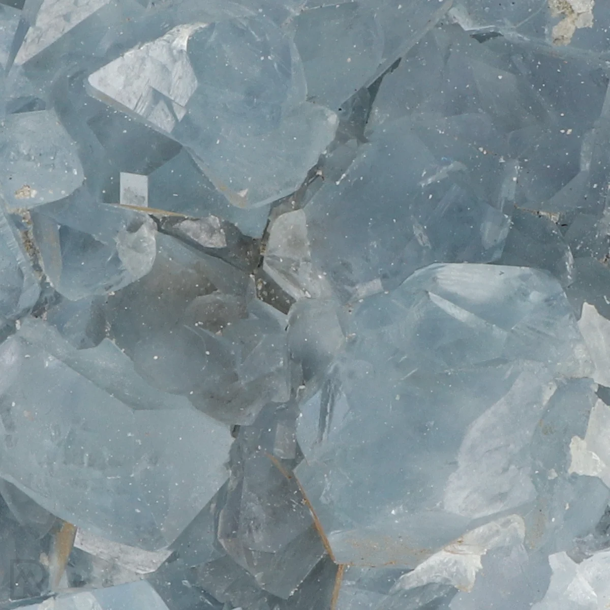 Celestien 2 Celestien uit Madagaskar met artikelnummer 20903