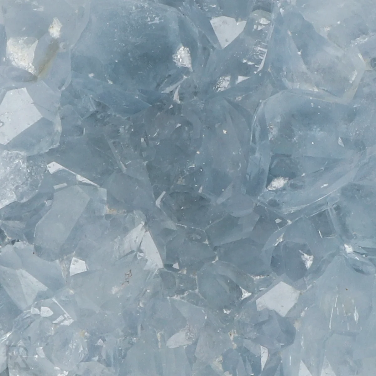 Celestien 2 Celestien uit Madagaskar met artikelnummer 20907