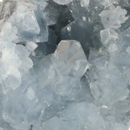 Celestien uit Madagaskar met artikelnummer 20912