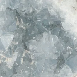 Celestien uit Madagaskar met artikelnummer 20913