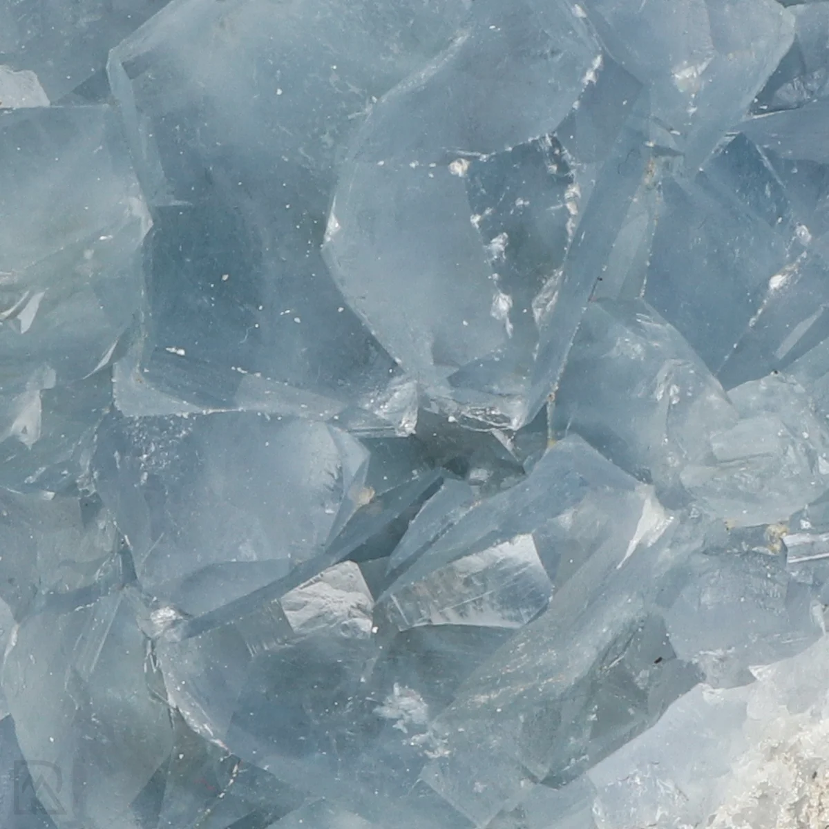 Celestien 2 Celestien uit Madagaskar met artikelnummer 20914