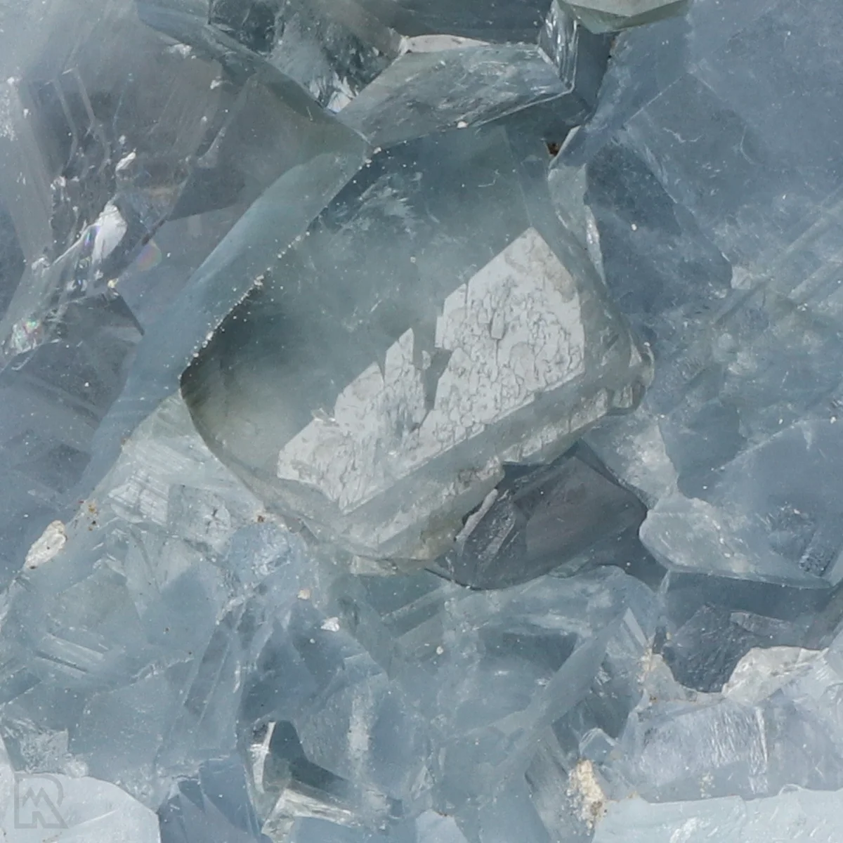 Celestien 2 Celestien uit Madagaskar met artikelnummer 20916