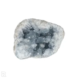 Celestien uit Madagaskar met artikelnummer 20919