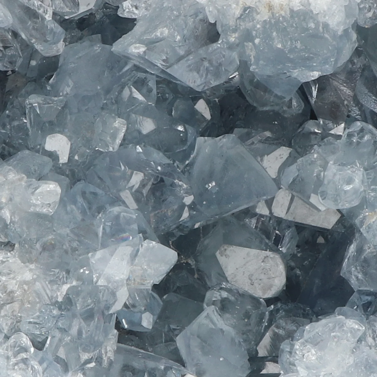 Celestien 2 Celestien uit Madagaskar met artikelnummer 20919