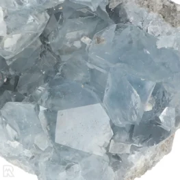 Celestien uit Madagaskar met artikelnummer 20920