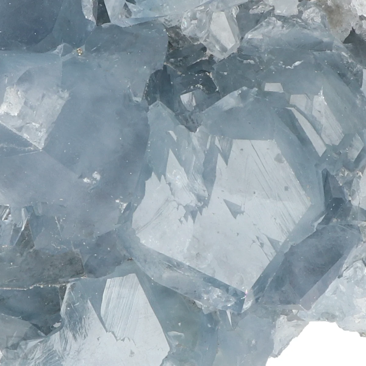 Celestien 2 Celestien uit Madagaskar met artikelnummer 20921