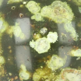 Green Opal Sphere from Madagascar with item number 20946