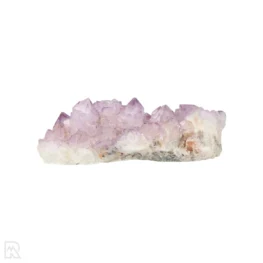 Cactus - Spirit Amethyst Cluster