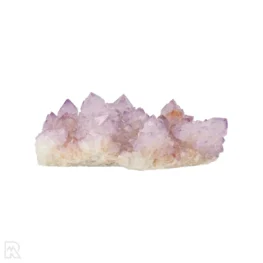Cactus - Spirit Amethyst Cluster