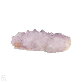 Cactus - Spirit Amethyst Cluster