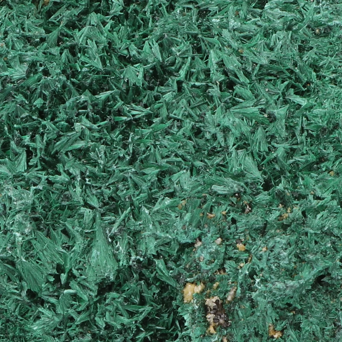 Malachiet Ruw 2 Malachite Rough with item number 21082