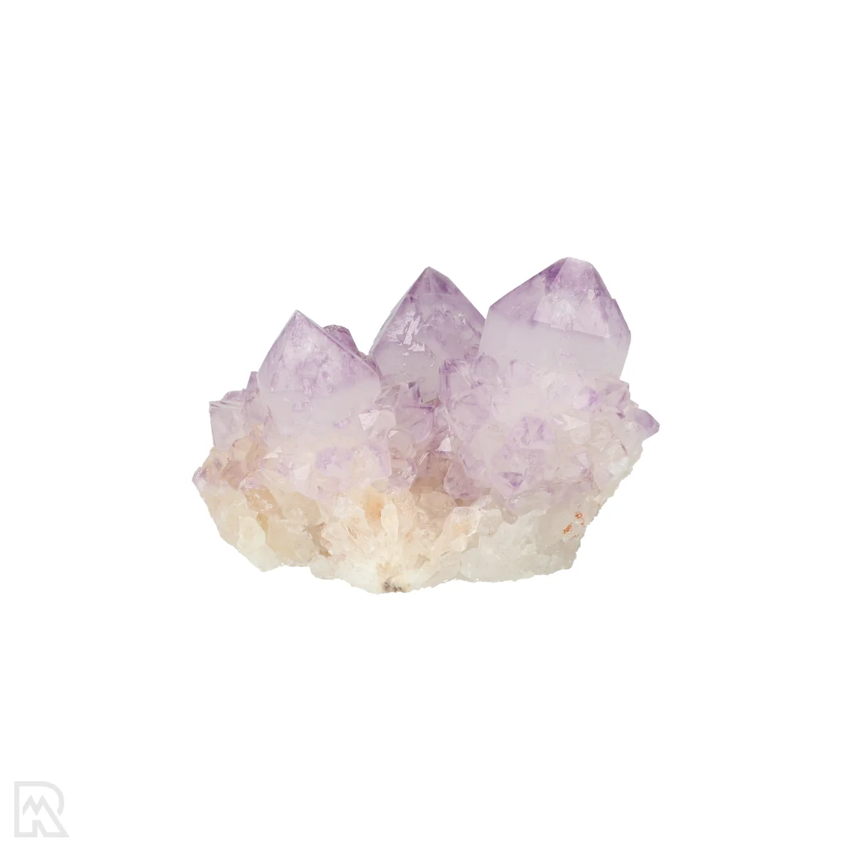 Kaktus - Geist Amethyst Cluster 1 Cactus - Spirit Amethyst Cluster aus Südafrika mit der Artikelnummer 21154