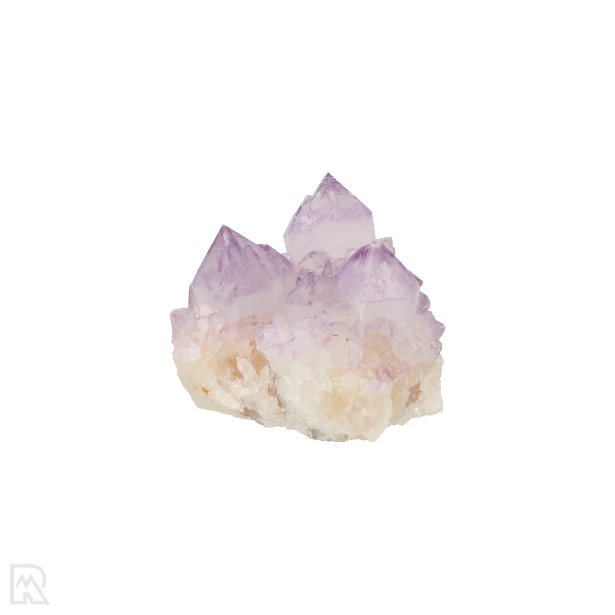 Kaktus - Geist Amethyst Cluster 5 Cactus - Spirit Amethyst Cluster aus Südafrika mit der Artikelnummer 21154