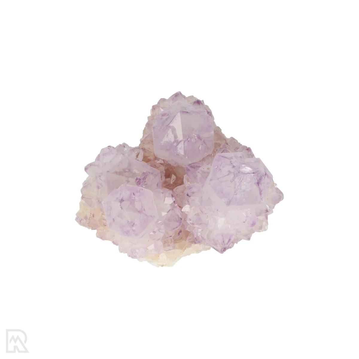 Kaktus - Geist Amethyst Cluster 6 Cactus - Spirit Amethyst Cluster aus Südafrika mit der Artikelnummer 21154