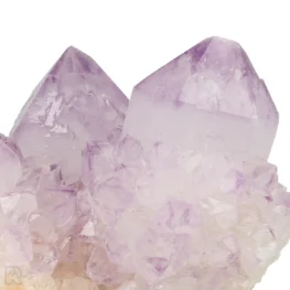 Cactus - Spirit Amethyst Cluster aus Südafrika mit der Artikelnummer 21154