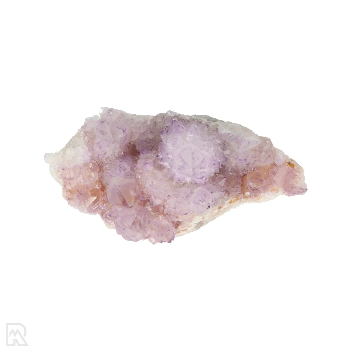 Kaktus - Geist Amethyst Cluster 6 Cactus - Spirit Amethyst Cluster aus Südafrika mit der Artikelnummer 21155