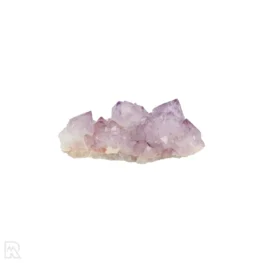Cactus - Spirit Amethyst Cluster aus Südafrika mit der Artikelnummer 21156