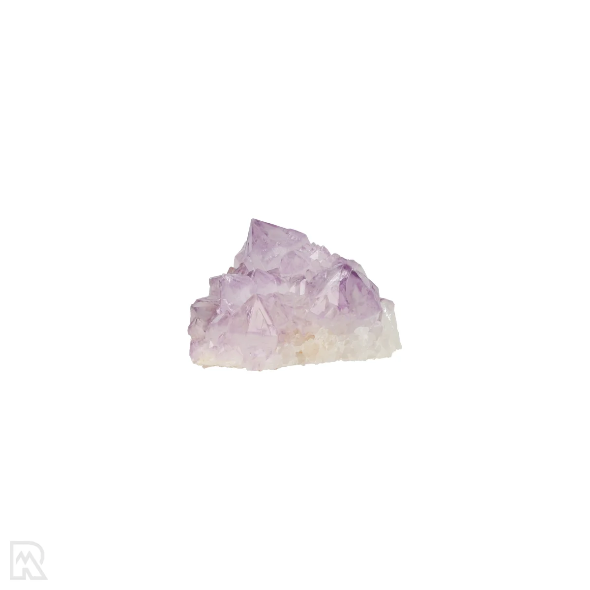 Kaktus - Geist Amethyst Cluster 3 Cactus - Spirit Amethyst Cluster aus Südafrika mit der Artikelnummer 21156