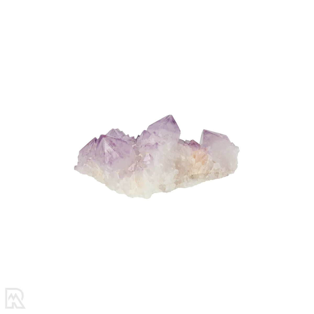 Kaktus - Geist Amethyst Cluster 4 Cactus - Spirit Amethyst Cluster aus Südafrika mit der Artikelnummer 21156