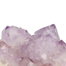 Cactus - Spirit Amethyst Cluster aus Südafrika mit der Artikelnummer 21156