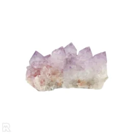 Cactus - Spirit Amethyst Cluster aus Südafrika mit der Artikelnummer 21157