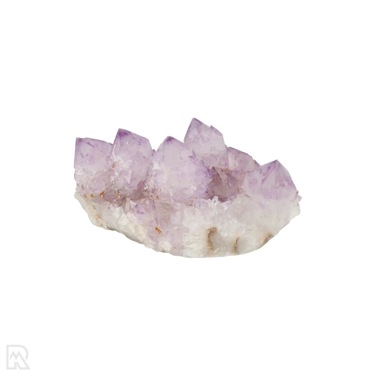 Kaktus - Geist Amethyst Cluster 4 Cactus - Spirit Amethyst Cluster aus Südafrika mit der Artikelnummer 21157