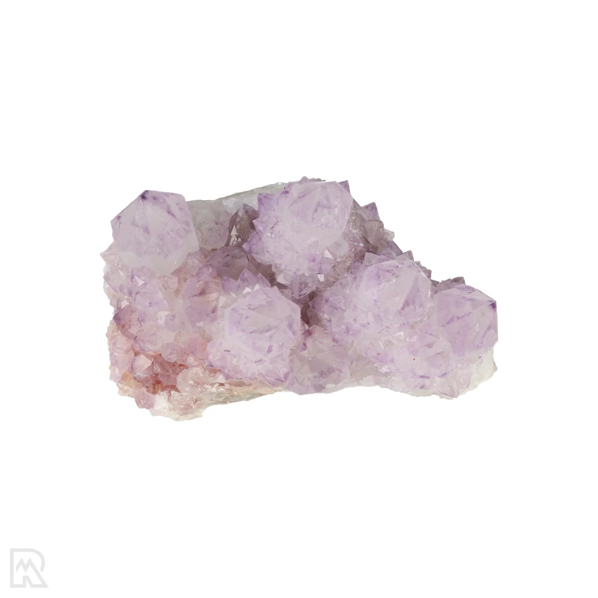 Kaktus - Geist Amethyst Cluster 6 Cactus - Spirit Amethyst Cluster aus Südafrika mit der Artikelnummer 21157