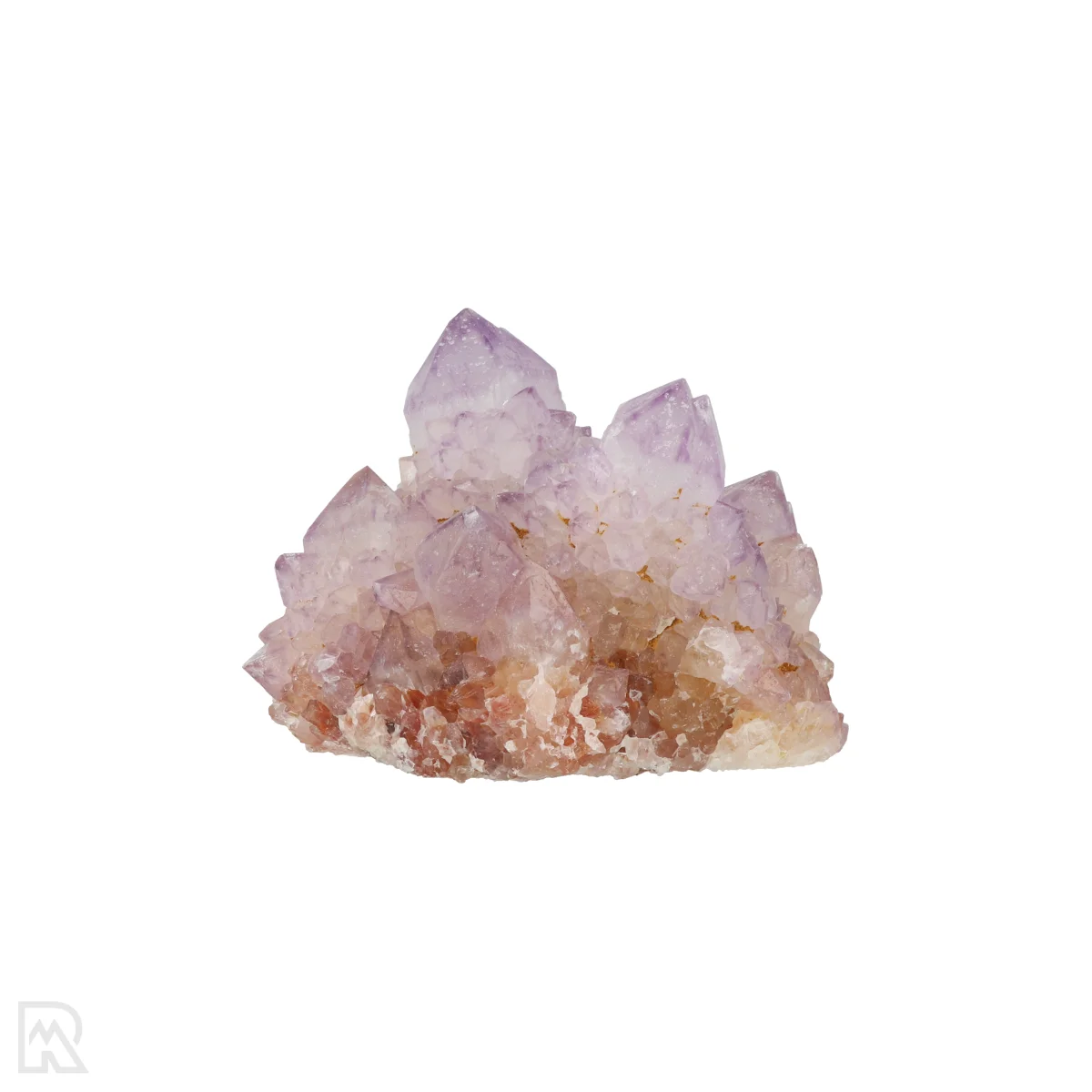 Kaktus - Geist Amethyst Cluster 1 Cactus - Spirit Amethyst Cluster aus Südafrika mit der Artikelnummer 21158