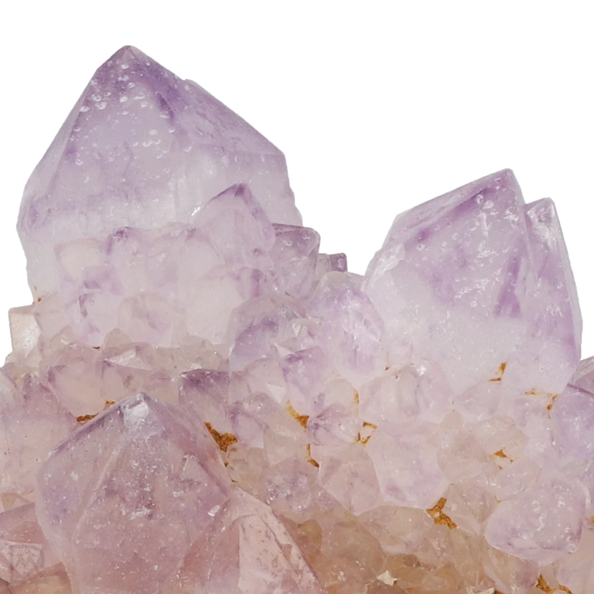 Kaktus - Geist Amethyst Cluster 2 Cactus - Spirit Amethyst Cluster aus Südafrika mit der Artikelnummer 21158