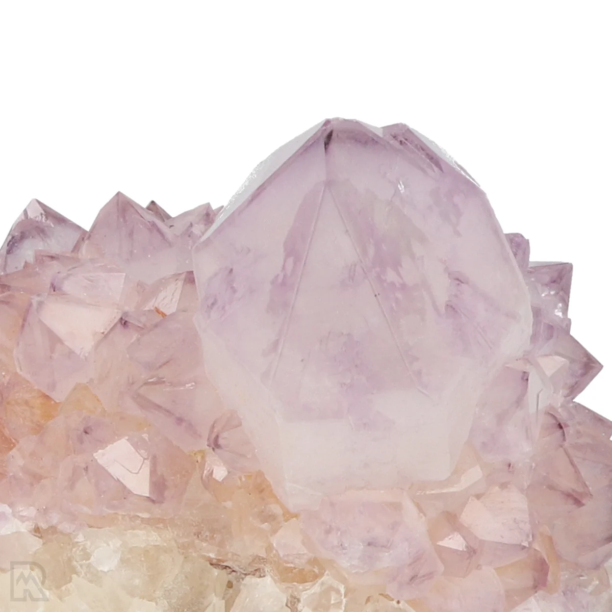 Kaktus - Geist Amethyst Cluster 2 Cactus - Spirit Amethyst Cluster aus Südafrika mit der Artikelnummer 21159