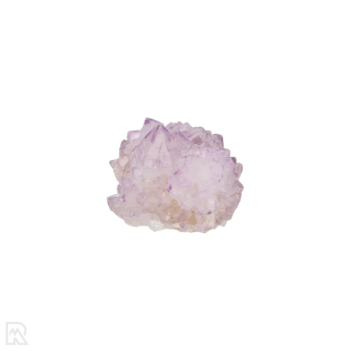 Kaktus - Geist Amethyst Cluster 3 Cactus - Spirit Amethyst Cluster aus Südafrika mit der Artikelnummer 21160